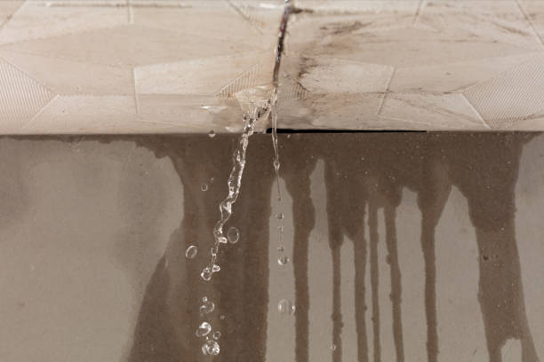 Professional Flood Damage Cleanup technician working in Meriden, WY